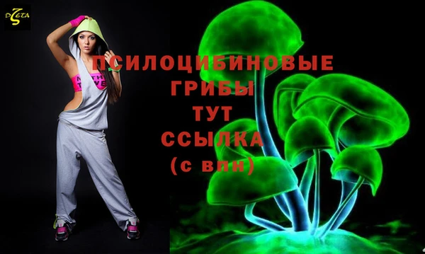 гашишное масло Касимов