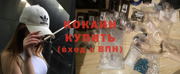 ГАЛЛЮЦИНОГЕННЫЕ ГРИБЫ Каменка