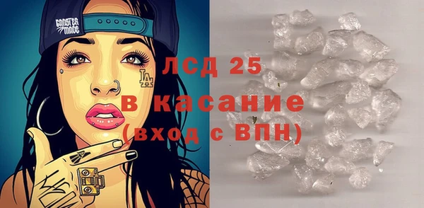 ГАЛЛЮЦИНОГЕННЫЕ ГРИБЫ Каменка